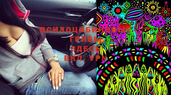 индика Алексеевка