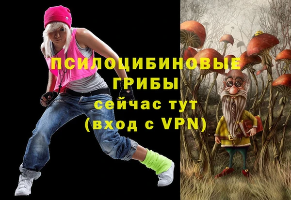 индика Алексеевка