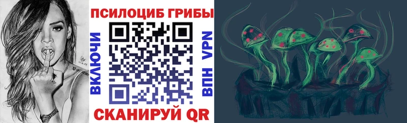 Псилоцибиновые грибы Psilocybine cubensis  Тосно 
