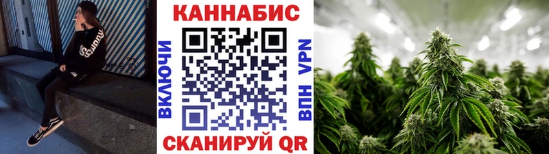 Марихуана гибрид  Тосно 